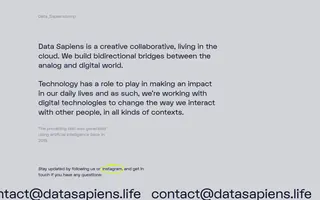 Data Sapiens homepage website preview