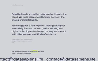 Data Sapiens homepage website preview
