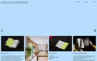 Anna Bosch homepage website preview