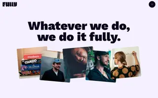 Fully homepage website preview