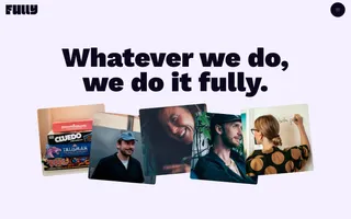 Fully homepage website preview