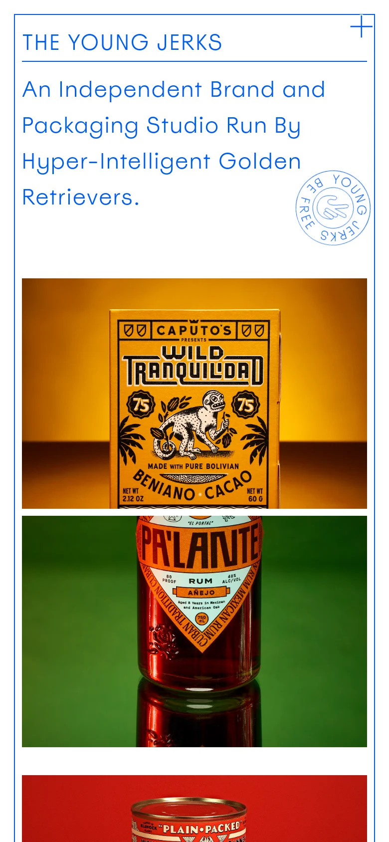 The mobile version presents a single-column vertical layout with a simplified header. The blue headline and studio description are prominently positioned at the top, followed by large, full-width imagery of brand projects like 'Caputo's Wild Tranquilda' and 'Palante' stacked vertically.