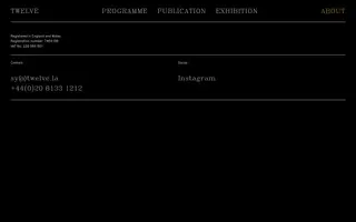 Twelve homepage website preview