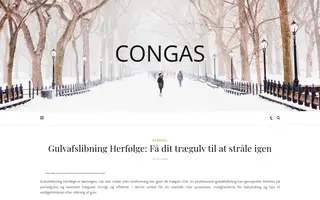 Congas homepage website preview