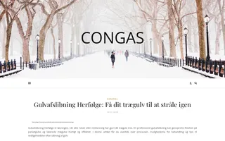 Congas homepage website preview