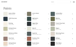 Odorne homepage website preview