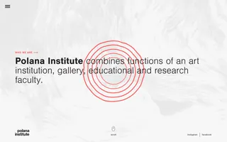 Polana Institute homepage website preview