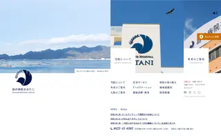 Island Hospital Otani homepage website preview