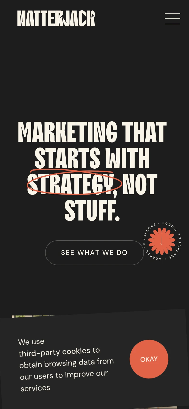Natterjack Marketing homepage mobile website screenshot