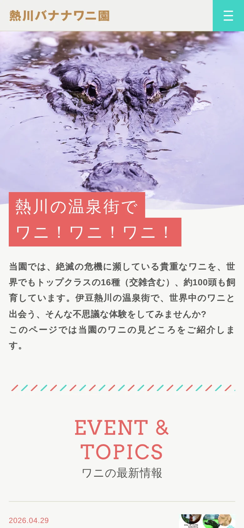 The mobile version presents a simplified, vertical layout optimized for smaller screens. The hero image of the alligator remains prominent at the top, followed by the main headline and descriptive text. Navigation is condensed into a hamburger menu icon in the top right corner against a teal background.