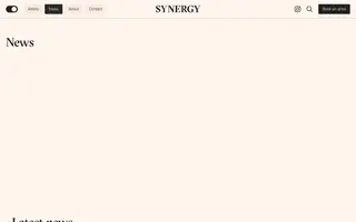 Synergy Art homepage website preview