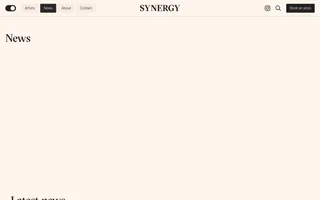Synergy Art homepage website preview