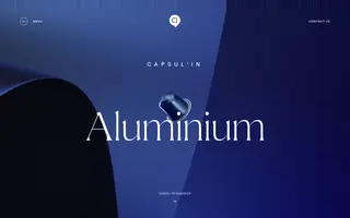 Capsul’in homepage website preview