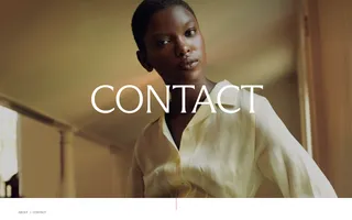 CFDA homepage website preview