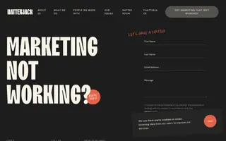 Natterjack Marketing homepage website preview