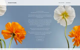 Studio Picabel homepage website preview