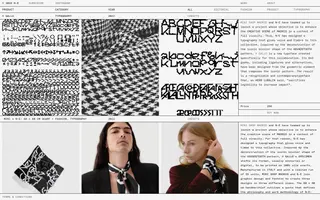 Naranjo—Etxeberria homepage website preview
