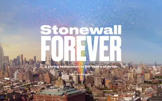 Stonewall Forever homepage website preview
