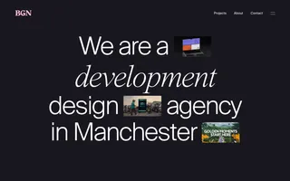 BGN homepage website preview