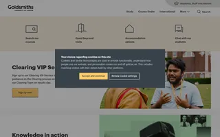 Goldsmiths homepage website preview