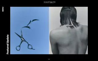 Hart & Co homepage website preview