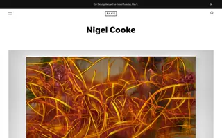 Nigel Cooke homepage website preview