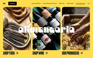 MoVida homepage website preview