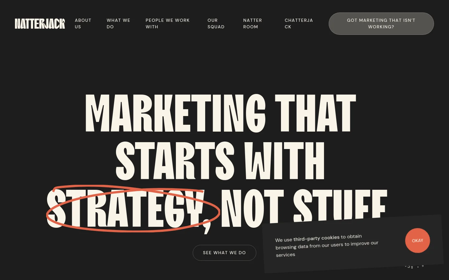 Natterjack Marketing homepage desktop website screenshot