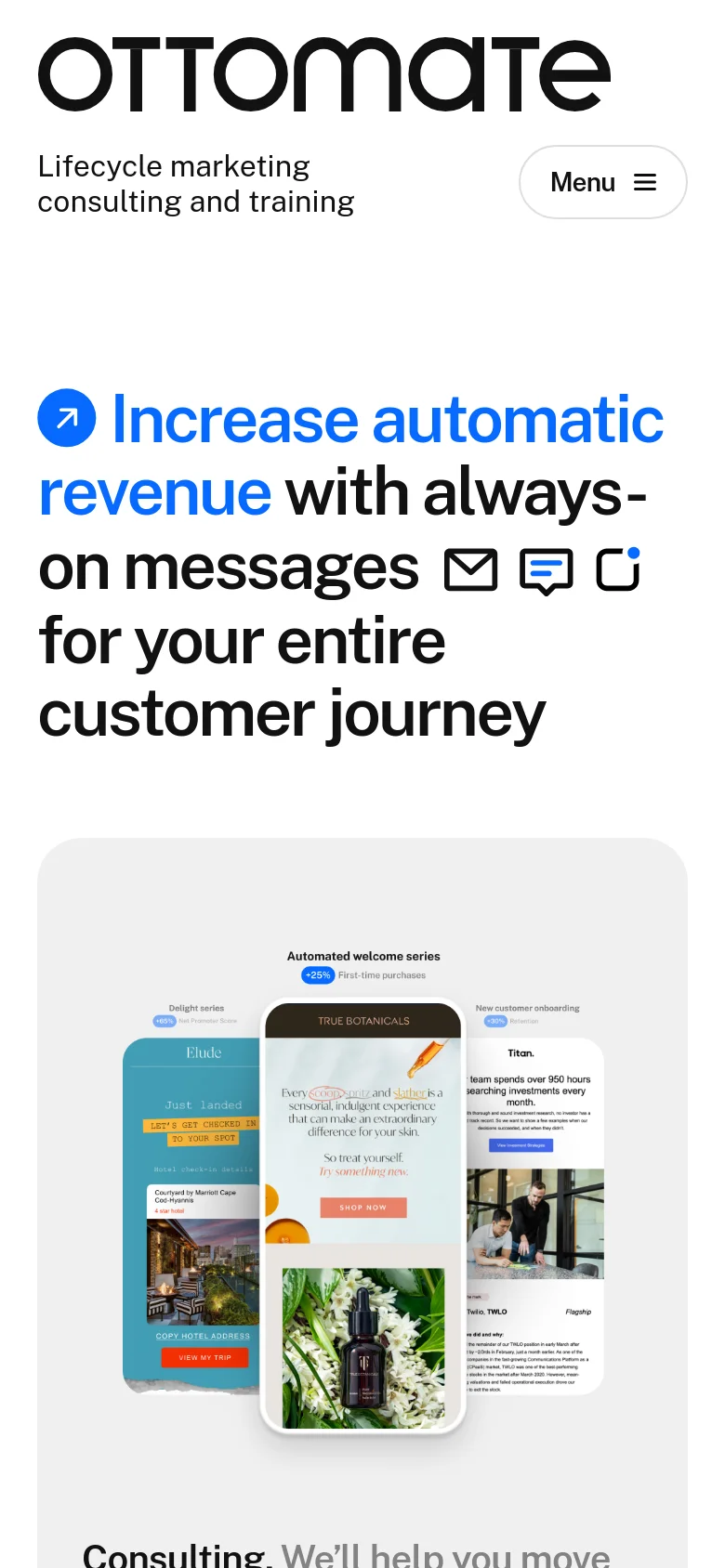 The mobile version presents a vertically stacked layout, beginning with the brand logo and a menu button at the top. The main headline is prominently displayed in blue and black, followed by the hero imagery and service sections arranged in a single column for easier scrolling.