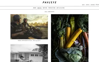 Pavleye homepage website preview