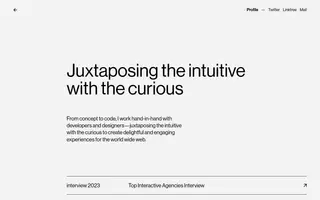 Jesper Vos homepage website preview