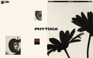 Phytoca homepage website preview