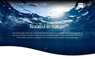 Grieg Seafood homepage website preview
