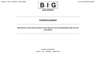 Bigzh homepage website preview