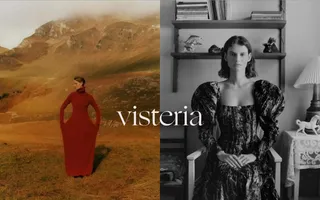 Visteria homepage website preview