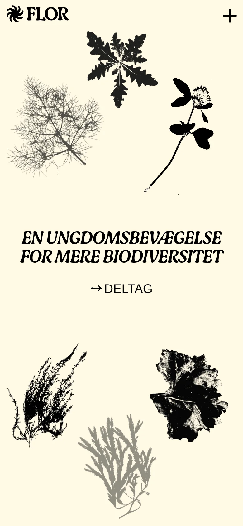 The mobile version maintains the cream background and botanical theme but uses a vertical layout. The plant illustrations are rearranged to fit a narrow screen, with the bold headline and 'DELTAG' button centered prominently in the middle of the page. The navigation is condensed, featuring only the logo and a plus icon at the top.