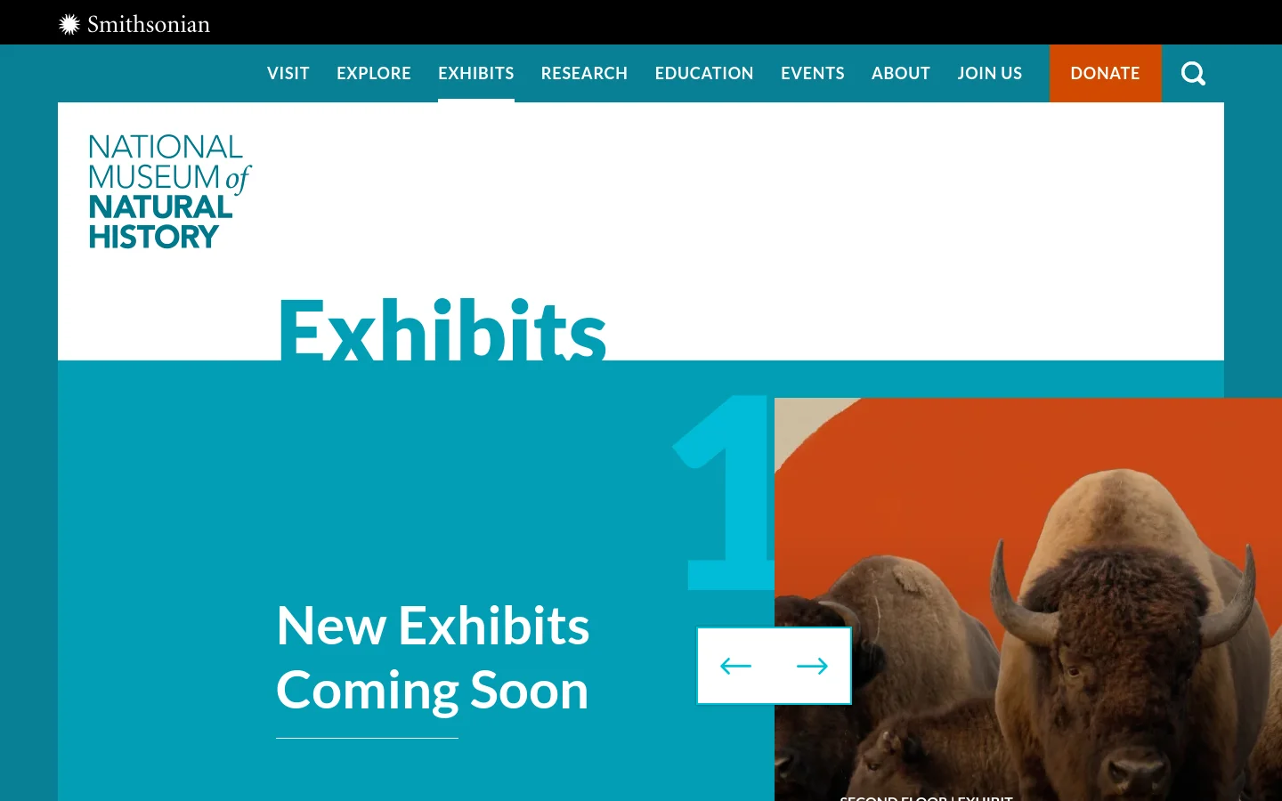 The Smithsonian National Museum of Natural History Exhibits page features a large teal hero section with the title 'Exhibits' and a subheadline 'New Exhibits Coming Soon'. Below, a grid layout displays featured exhibits with large images, such as a close-up of a bison, accompanied by floor location and exhibit titles. The top navigation bar is white with teal text and a prominent orange 'DONATE' button.