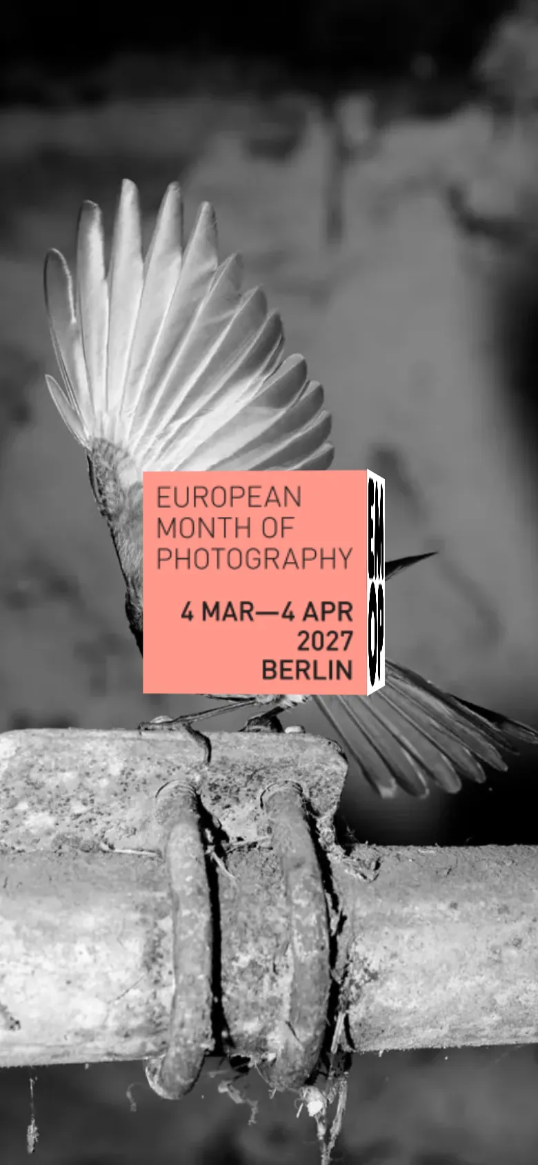 The mobile version presents a vertically stacked layout, starting with a full-screen black and white hero image of a bird. A salmon-colored rectangular box is centered over the image with the festival dates and title. The navigation and text content are condensed for a narrow portrait view.