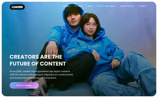 Loaded homepage website preview