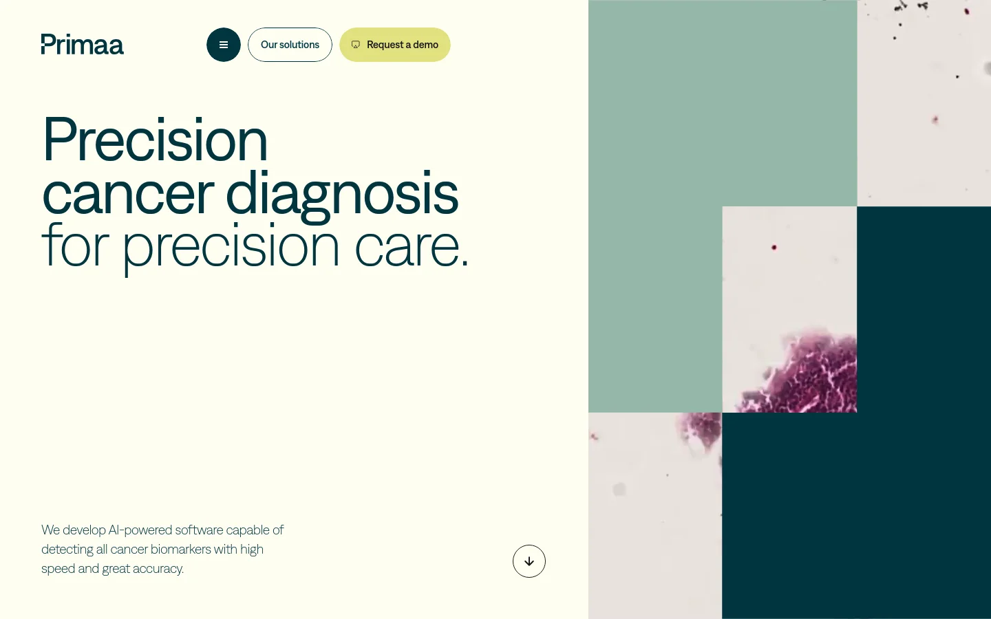 The desktop homepage features a minimalist design with a cream background and a large headline reading 'Precision cancer diagnosis for precision care.' To the right, an abstract geometric collage of teal, dark navy, and microscopic pink cell images serves as the hero visual. The navigation bar includes the Primaa logo, an 'Our solutions' button, and a yellow 'Request a demo' call to action.