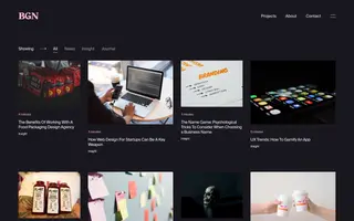 BGN homepage website preview
