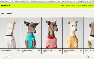 Vemvem homepage website preview