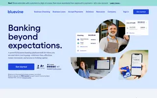 Bluevine homepage website preview