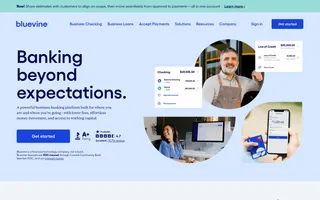 Bluevine homepage website preview