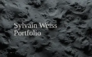 Sylvain Weiss homepage website preview