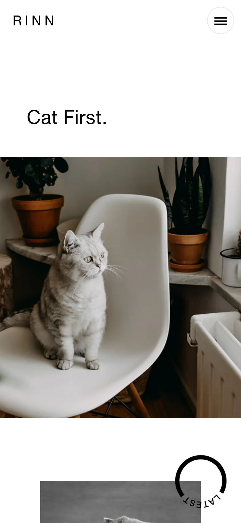 The mobile version simplifies the layout, placing the 'RINN' logo and a hamburger menu icon at the top. The large 'Cat First.' headline is centered above a full-width hero image of a grey cat sitting on a white chair. The navigation links are hidden within the menu icon to save space.