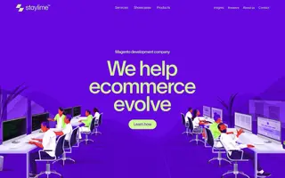 Staylime homepage website preview