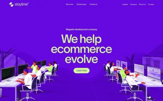 Staylime homepage website preview