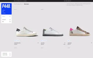 P448 homepage website preview