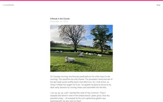 asimpleframe homepage website preview